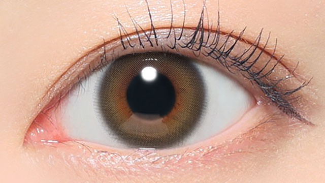 レヴィアワンデー(カラー) ステイミー 装用画像