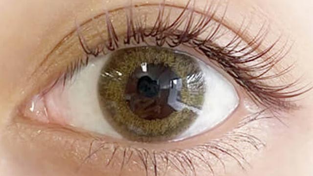 シーブリンクワンデーUVモイスト サンドバー