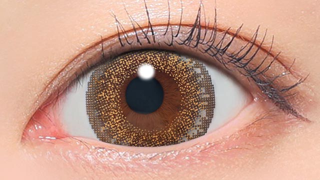 No.14ヘーゼル 装用画像