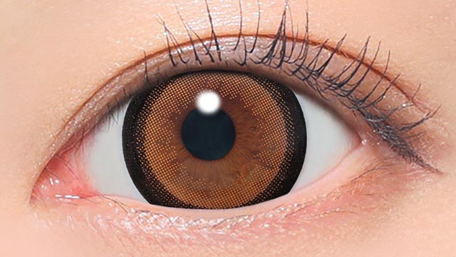 No.3ブラウン 装用画像