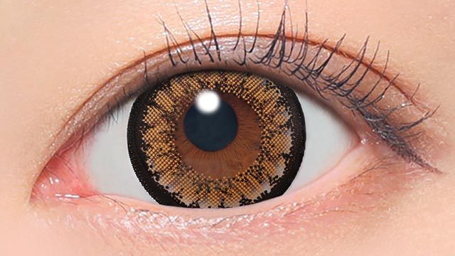 No.9ブラウン 装用画像