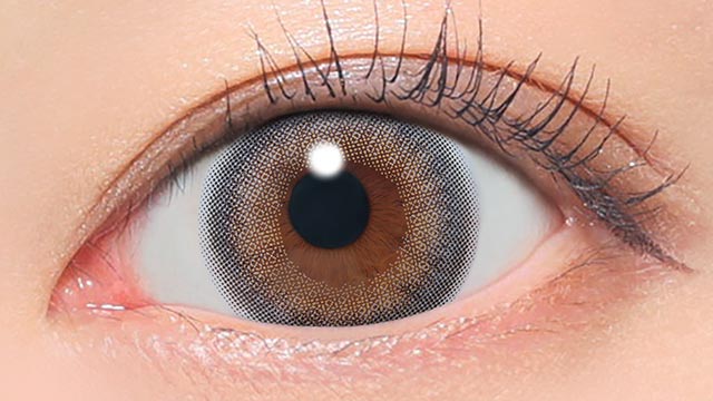 クリアグレー 装用画像