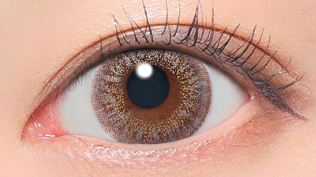 グレージュ 装用画像