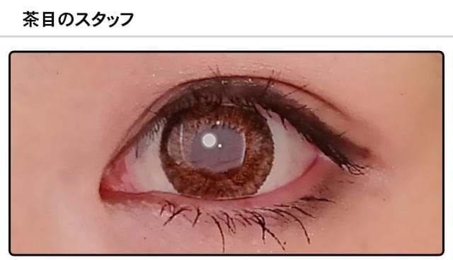 スタッフ0の装着画像