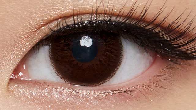 セレクトフェアリーマンスリー ナチュラルブラウン度なし
