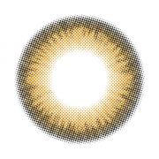 ソルティーシャルム サンフラワー