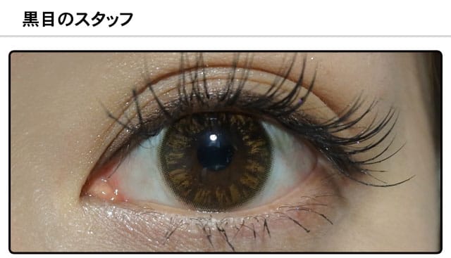 スタッフ1の装着画像