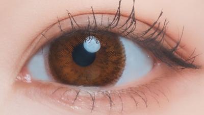 キンセイスフレ 装用画像