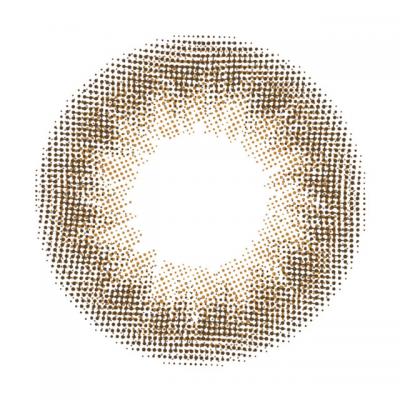 キンセイスフレ レンズ画像