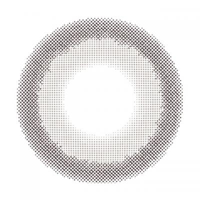 ペガサスグレー レンズ画像