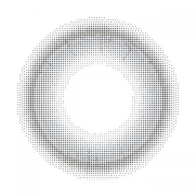 スイセイノワール レンズ画像