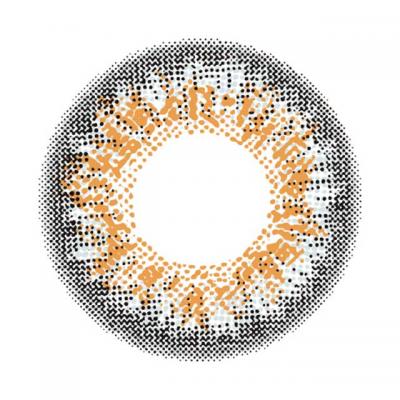 ロシアングレイ レンズ画像