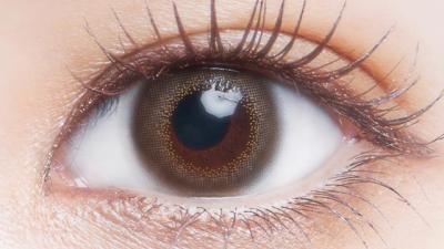 カルミアグレー 装用画像