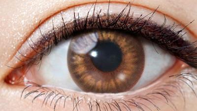 サークルブラウン 装用画像