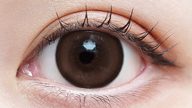 イメージモデルの度あり度なしワンデーヴェルヴェティア ブーケブラウンの装用画像