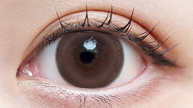 イメージモデルの度あり度なしワンデーヴェルヴェティア ロゼフィルムの装用画像