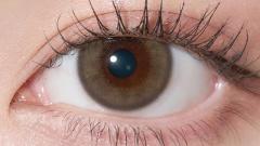 ワナフ グラスミラー キム・ミンジュ 装用画像