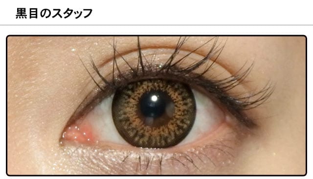スタッフ0の装着画像
