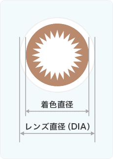 着色直径とレンズ直径(DIA)