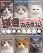 猫目カラコン