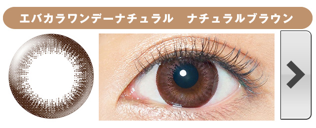 エバーカラー1day|ナチュラルブラウン
