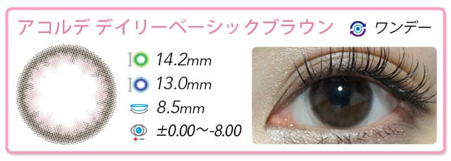 アコルデデイリーベーシックブラウン