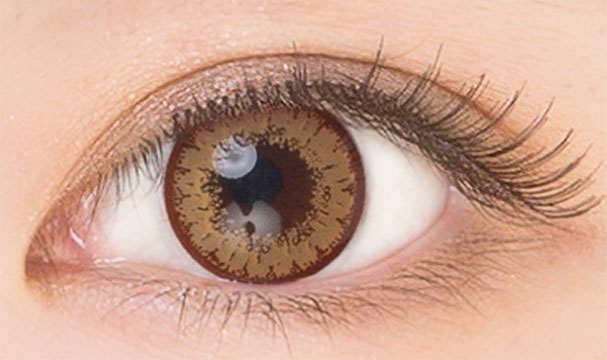 モンブランの装用画像