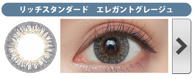 リッチスタンダードエレガントグレージュ