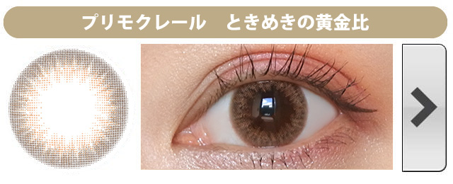 プリモクレール ときめきの黄金比