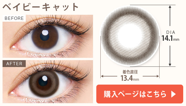 ベイビーキャット 