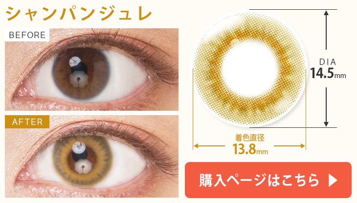 シャンパンジュレ