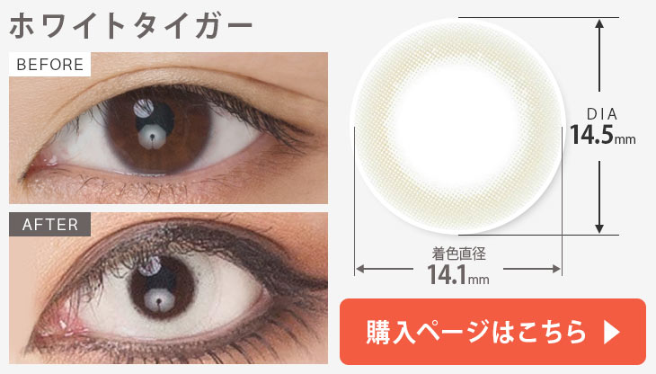 ホワイトタイガー