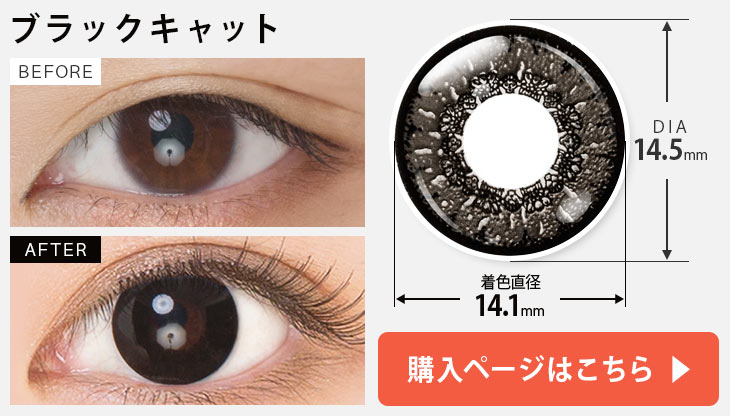 ブラックキャット