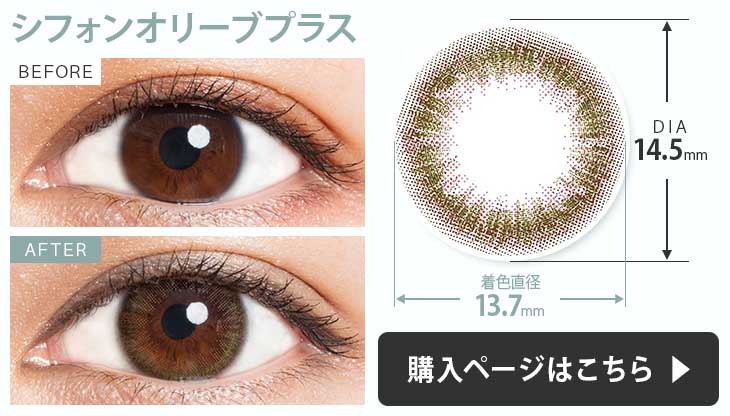 シフォンオリーブプラス