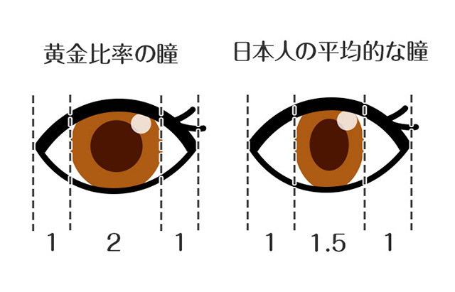 瞳の黄金比について