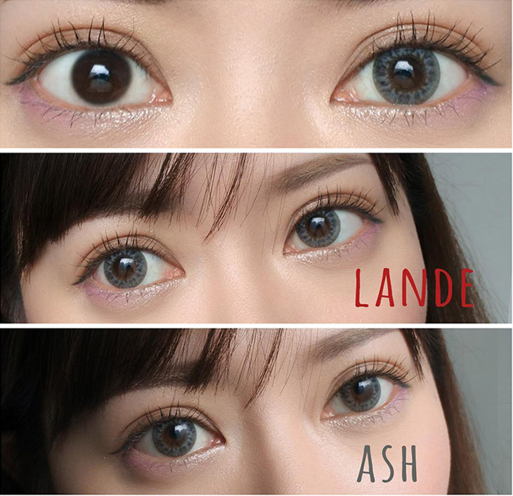 ランデアッシュ着画