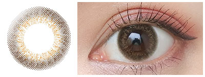 エルージュ　フレアブラウン 着用画像