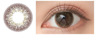 アイジェニック セピアミスト着用画像