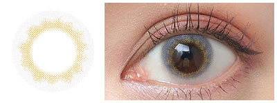 エヌズコレクション ラッシー 着用画像