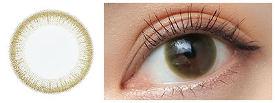 オリーブ 着用画像