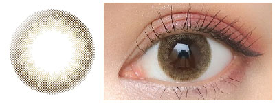 ベージュオンブル 着用画像