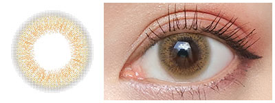 スキニーヘーゼル 着用画像