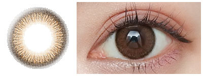 アプリコットブラウン 着用画像