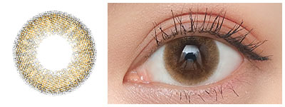 リッチスタンダード プレミアム トーキョーブラウン 着用画像