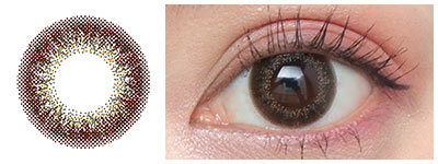 アンヴィUVオリーヴブラウン 着用画像