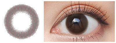 フェリアモ シアーブラウン 着用画像