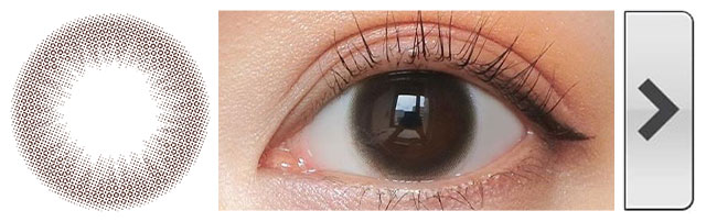 チューズミー ベイビーブラウン モアコンスタッフ装用画像