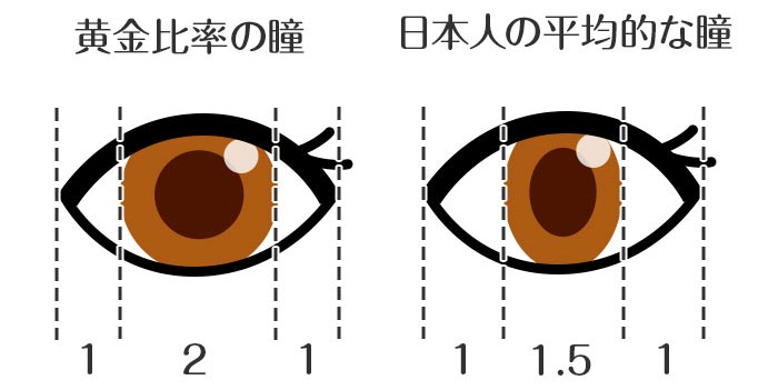 カラコン初心者さんへカラコンの選び方講座~瞳の黄金比~