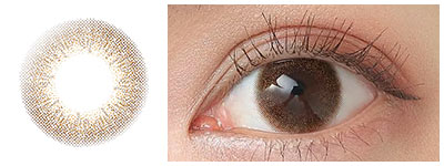 エバーカラーワンデーナチュラルモイストレーベルUV シフォンブラウン 着画 着用画像