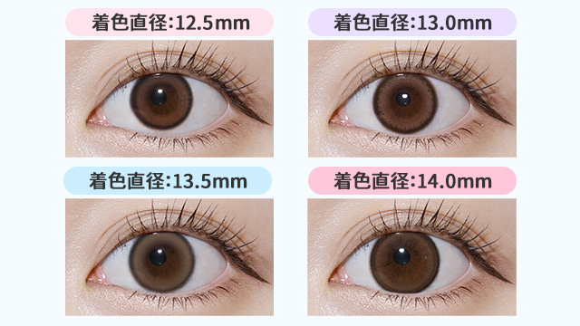 着画で見え方が比較できる画像